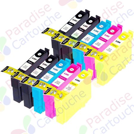 Epson 29XL ensemble de 10 cartouches d'encre compatibles haute capacité (Paradise Cartouche)